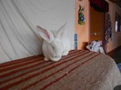 DSCN1468
