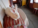 DSCN1470