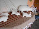 DSCN1471