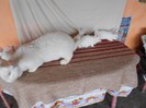 DSCN1473