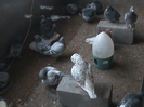 DSC03206
