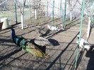 DSC03220