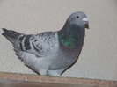 DSCF3030