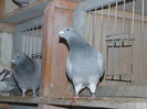 DSCF5977