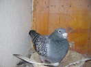 DSCN5482
