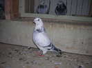DSCN5484