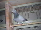 DSCN5485