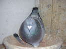 DSCN5491