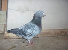 HPIM4795