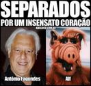 images (35)