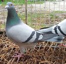 IMG_20130120_115926-1