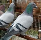 IMG_20130119_141915-1