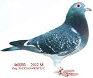 460093-12-M