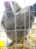 Picture 025