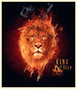 088-photomanipulations-fire