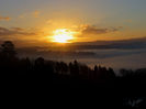 IMG_0037