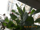 DSCN2607