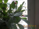 DSCN2608