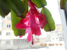 DSCN2610