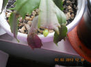 DSCN2612