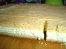 Picture 1014
