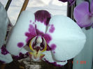 Picture 1045