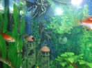 DSCF2119
