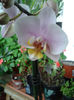 20130202_143253