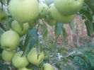 DSC01084