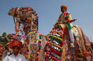 Festivalul-camilelor-din-India-1