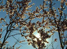 030220135958