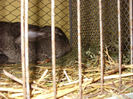 SN854846