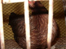 SN854854