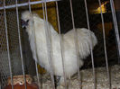 SN854860
