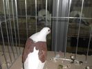 DSCF2958