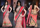 Zarine_Khan_Shane_Falguni_Saree_thumb[1]