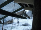 DSCN0032