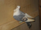 DSCN0040