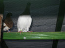 DSCN0043