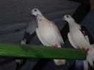 DSCN0047