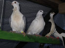 DSCN0048
