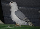 DSCN0049