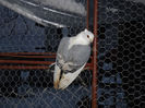 DSCN0051