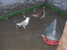 DSCN0054