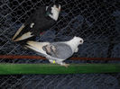 DSCN0056