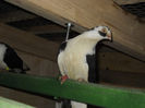 DSCN0058