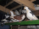 DSCN0059