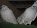 DSCN0067