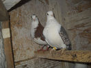 DSCN0075