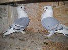 DSCN0076